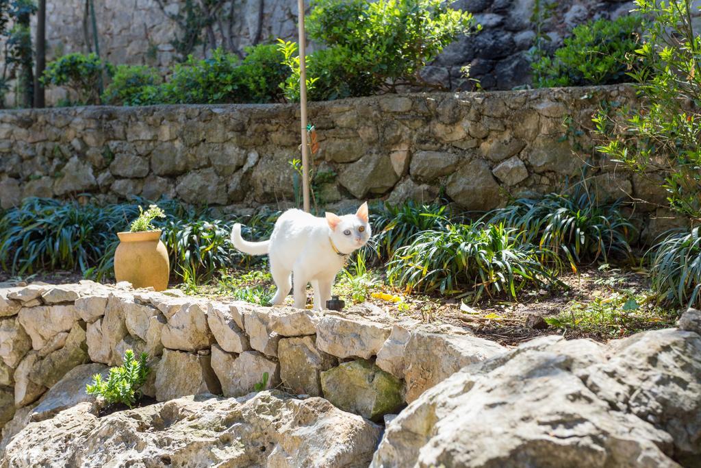 Stella & Luna Apartamento Dubrovnik